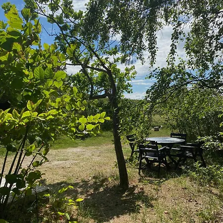 Simple With Access To And Heathland * Endelave